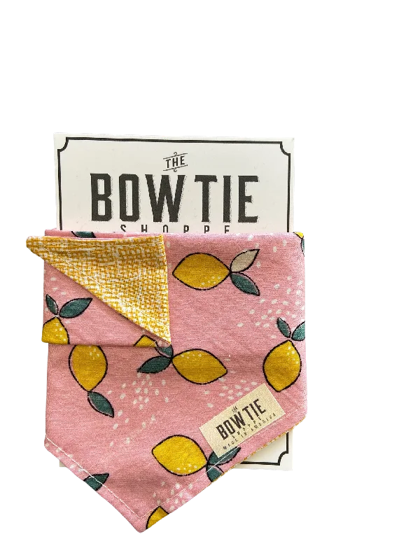 Reversible Pet Bandana - Lemonade