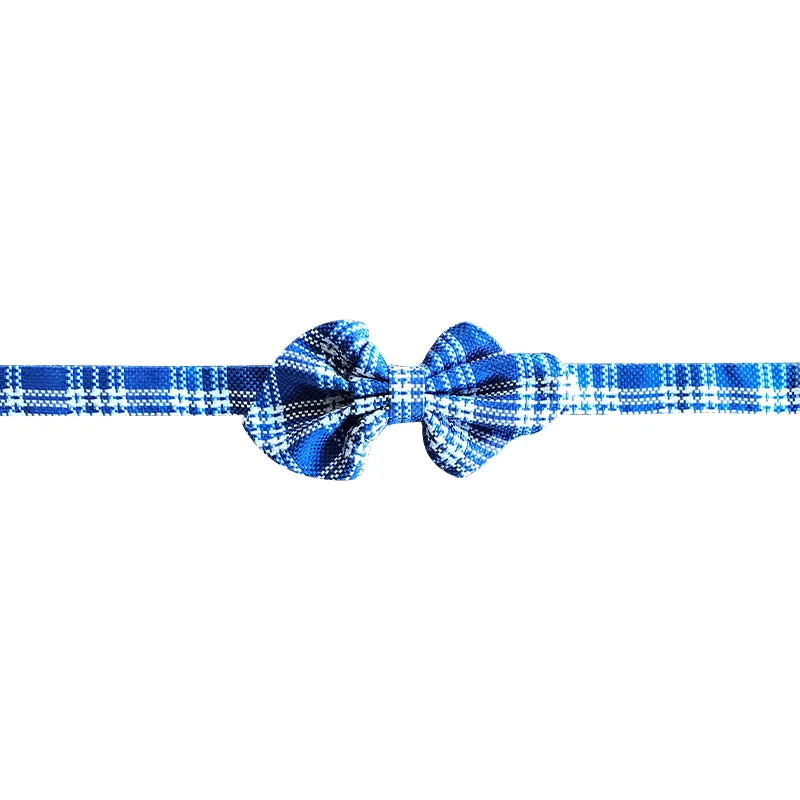 Blue and white plaid bowtie